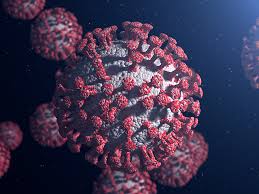 RESPIRATORY PNEUMONIA PANEL COMPLETE (VIRAL & BACTERIAL COMBINED)